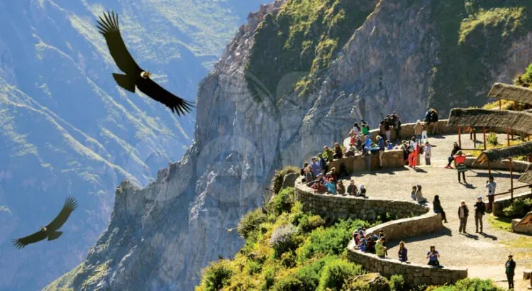 Colca Arequipa