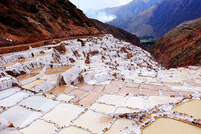 Maras
