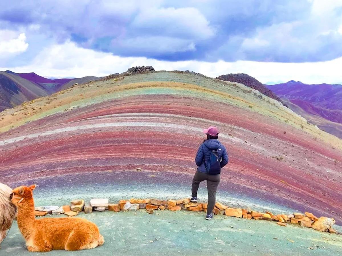 Palcoyo colores