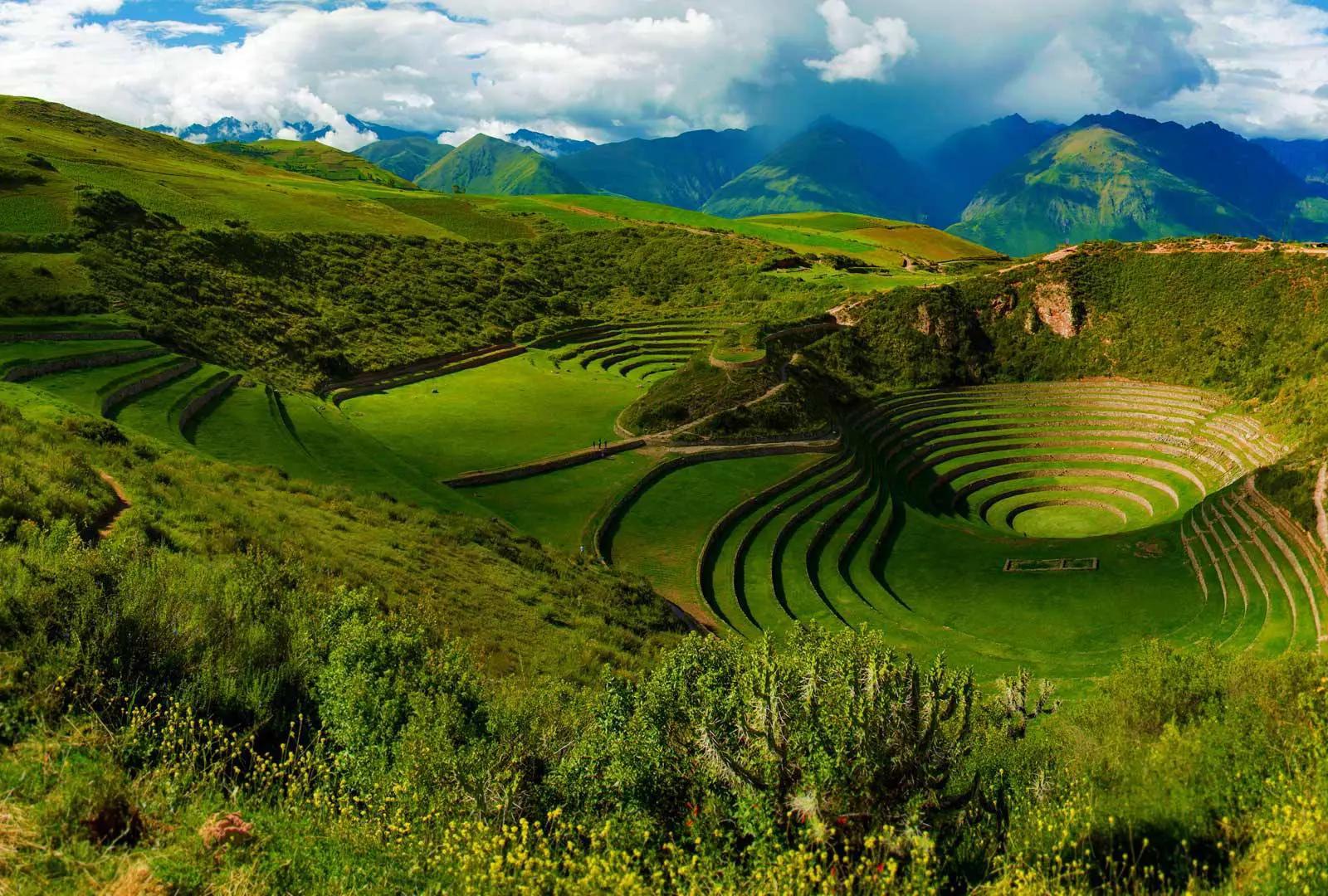 Moray